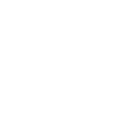 Cruelty Free